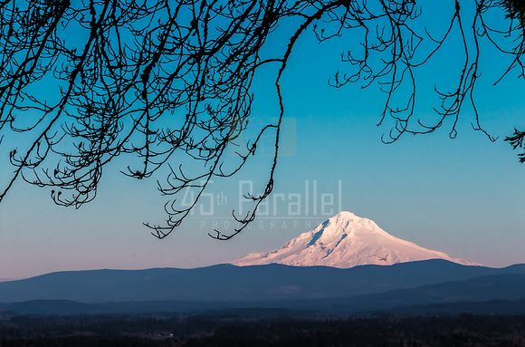 A Crisp, Clear Winter's Day