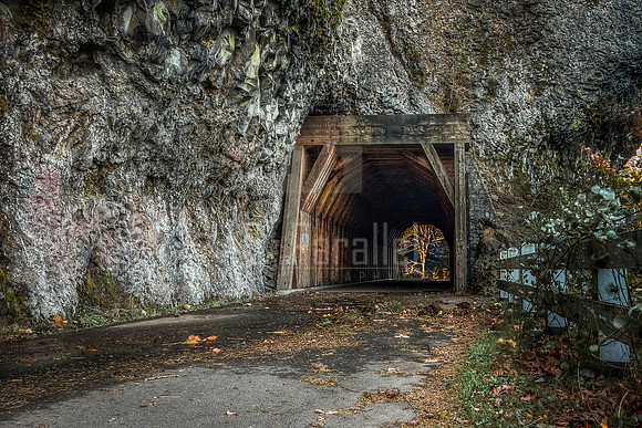 The Oneonta Tunnel
