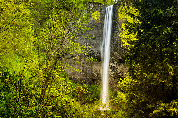 Lower Latourell Falls