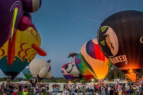 Hot Air Balloon Festival