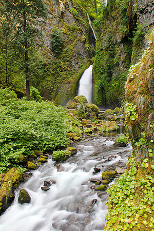 Wahclella Falls