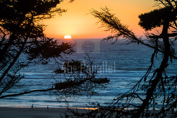 Sunset Walk Along the Beach
