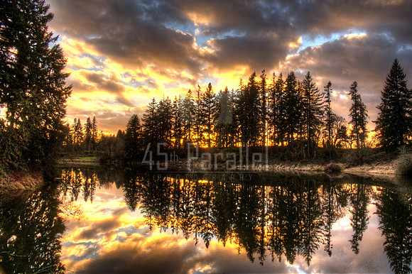 Rorschach Test at Champoeg Creek, near St. Paul, Oregon