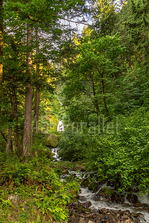 Wahkeena Falls