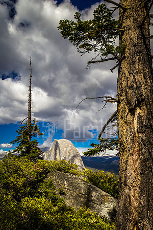 Half Dome