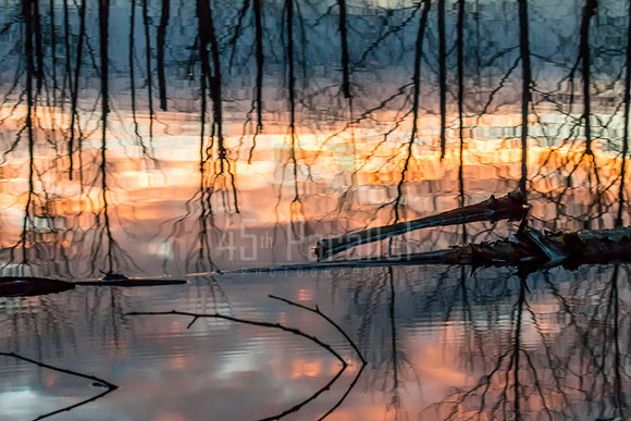 Fire in the Water