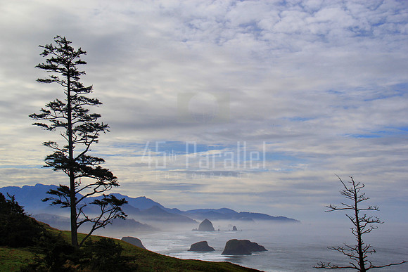 Ecola State Park View 1