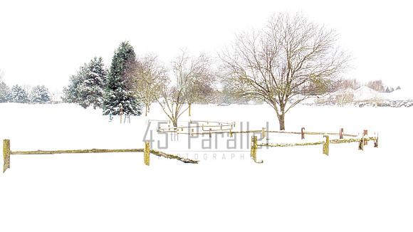 Whiteout on a Golf Course