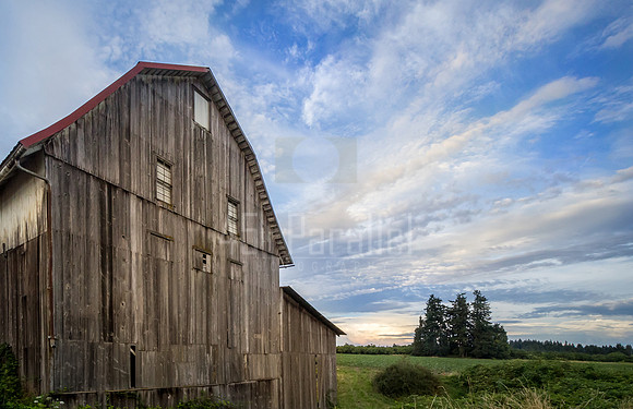 Weathered Barn
