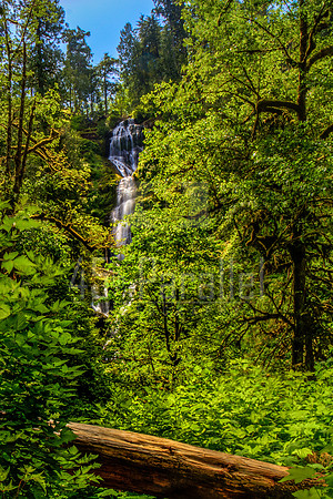Munson Creek Falls