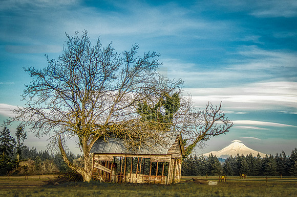 The old gray shed, she ain't what she used to be.