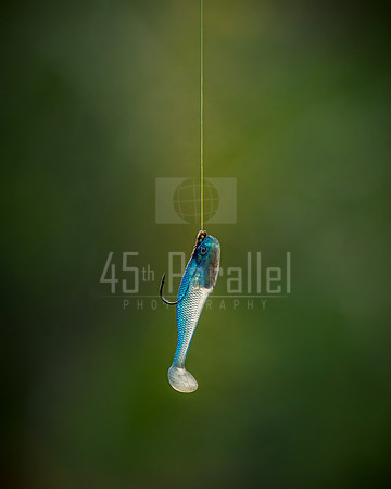 Allure of Fishing