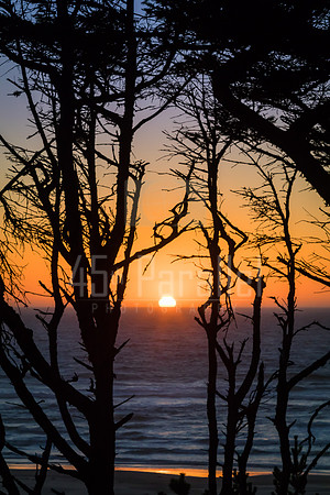Sunsets need to be framed. Naked trees will do.