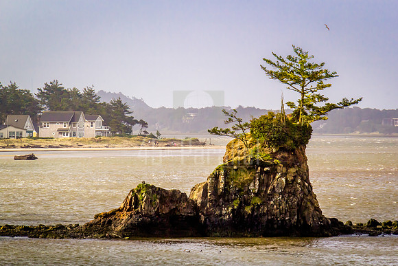 The largest of the Four Brothers of Siletz Bay