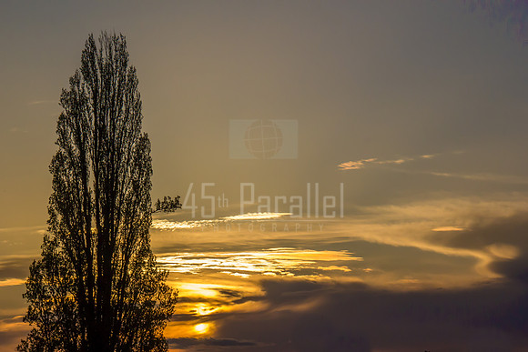 Sunset Vortex
